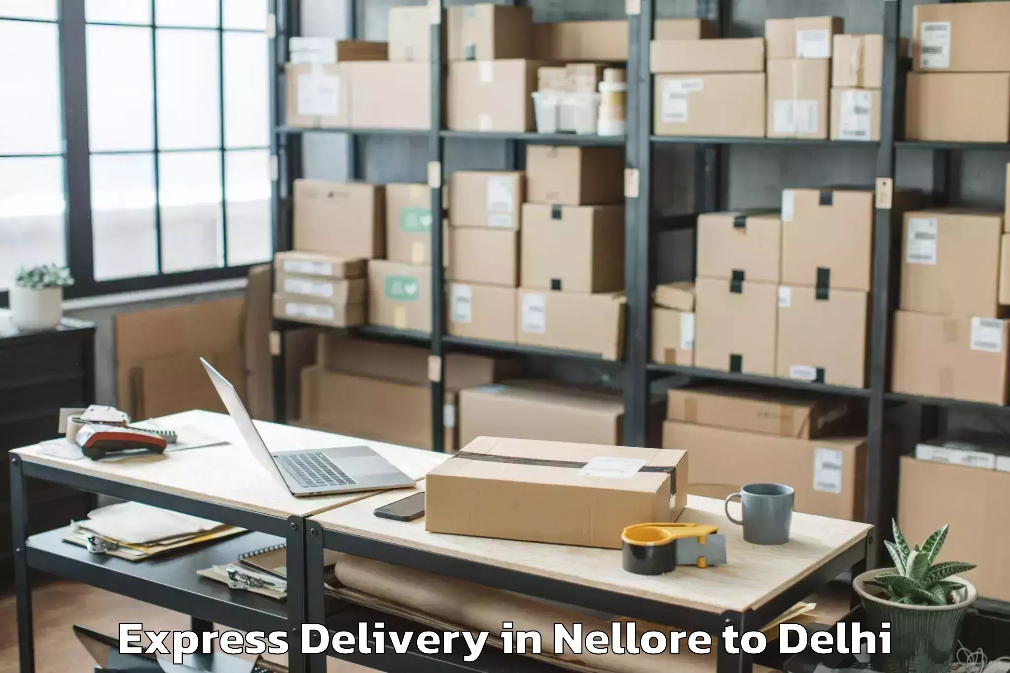 Book Your Nellore to Alipur Express Delivery Today